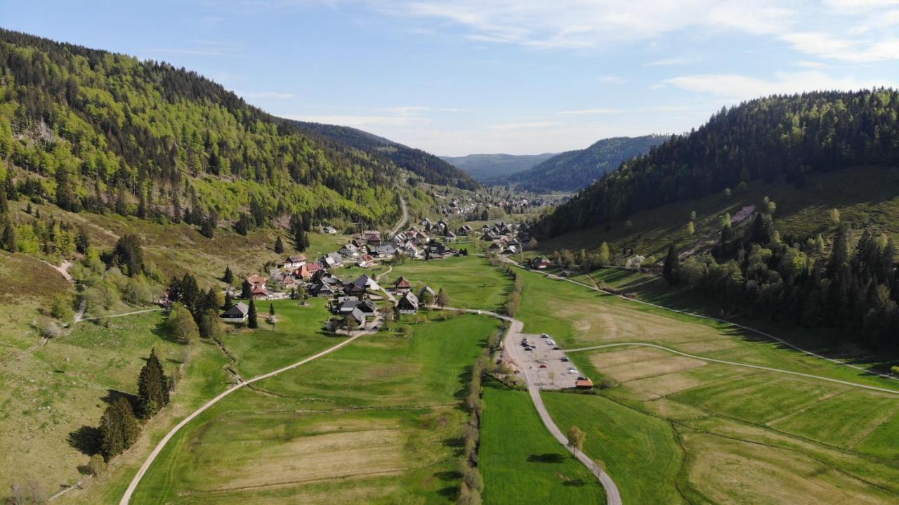 Galeriewohnung In Menzenschwand Bagian luar foto