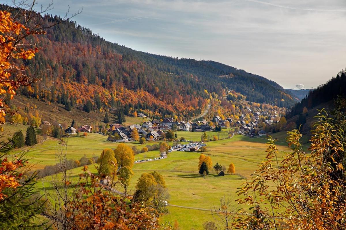 Galeriewohnung In Menzenschwand Bagian luar foto